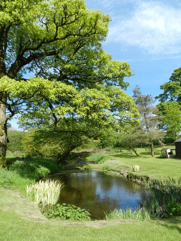 Rowrah Hall Bed & Breakfast Whitehaven Luaran gambar